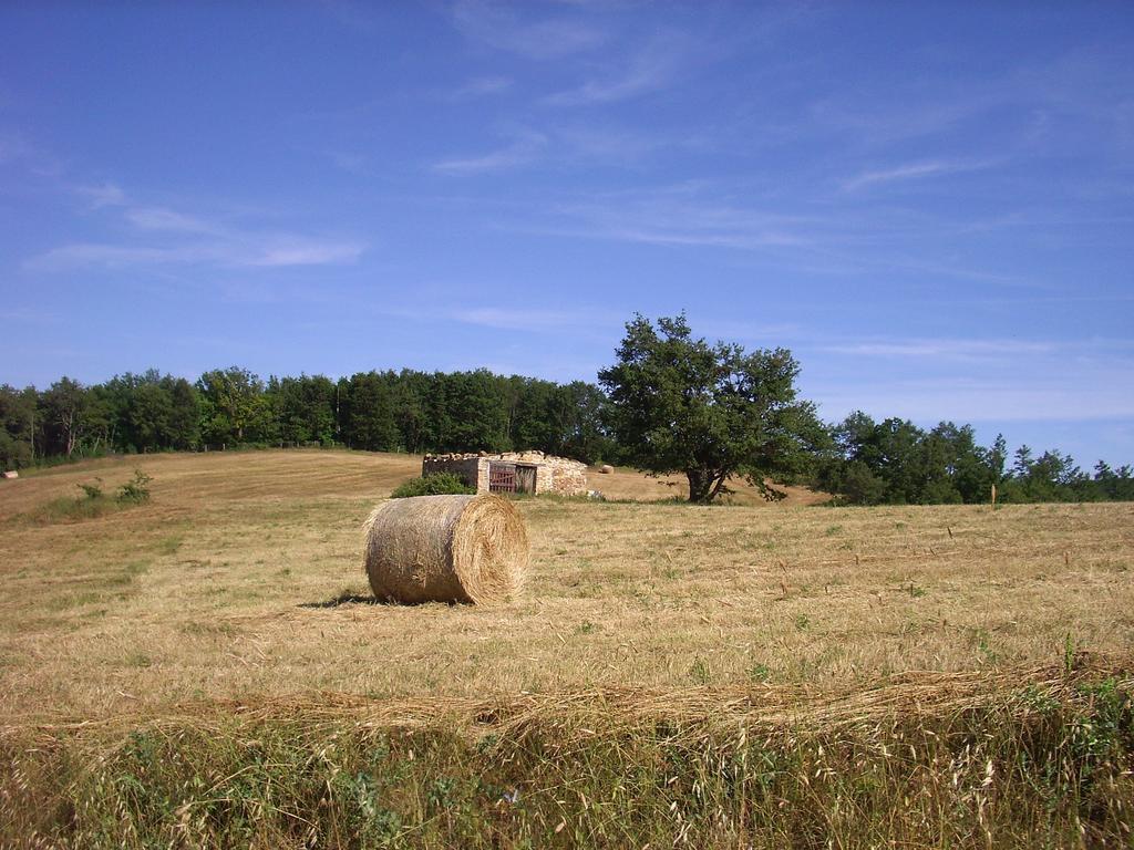 Agriturismo Bio Le Macchie Alte Manciano Εξωτερικό φωτογραφία